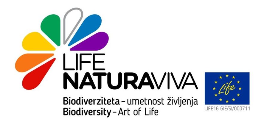 LNV_logo_1