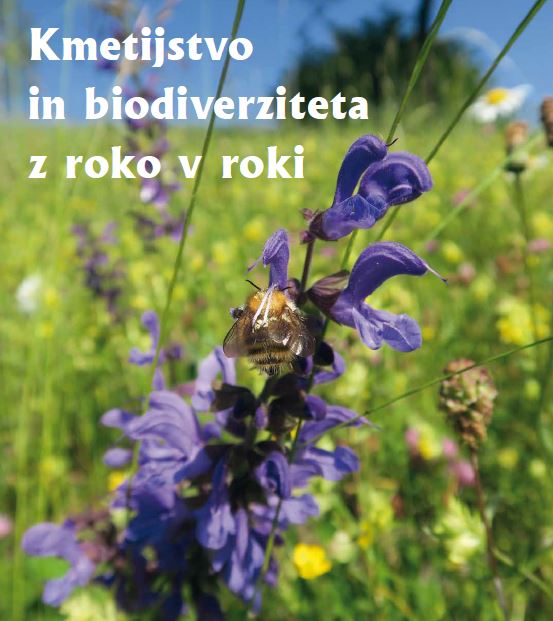 Novi prispevki v časopisu Zelena dežela
