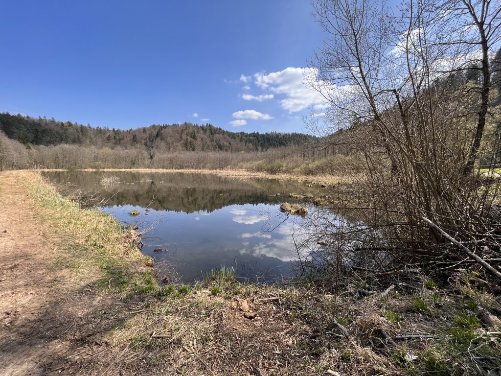 V preteklih tednih so bila izvedena dela za popravilo jezu pri Srednjem ribniku. Foto: Jasna Tarman