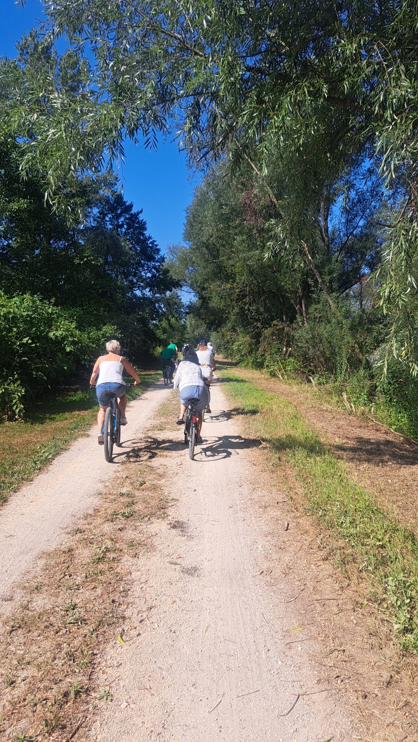 S kolesom iz Tivolija na Rakovo jelšo