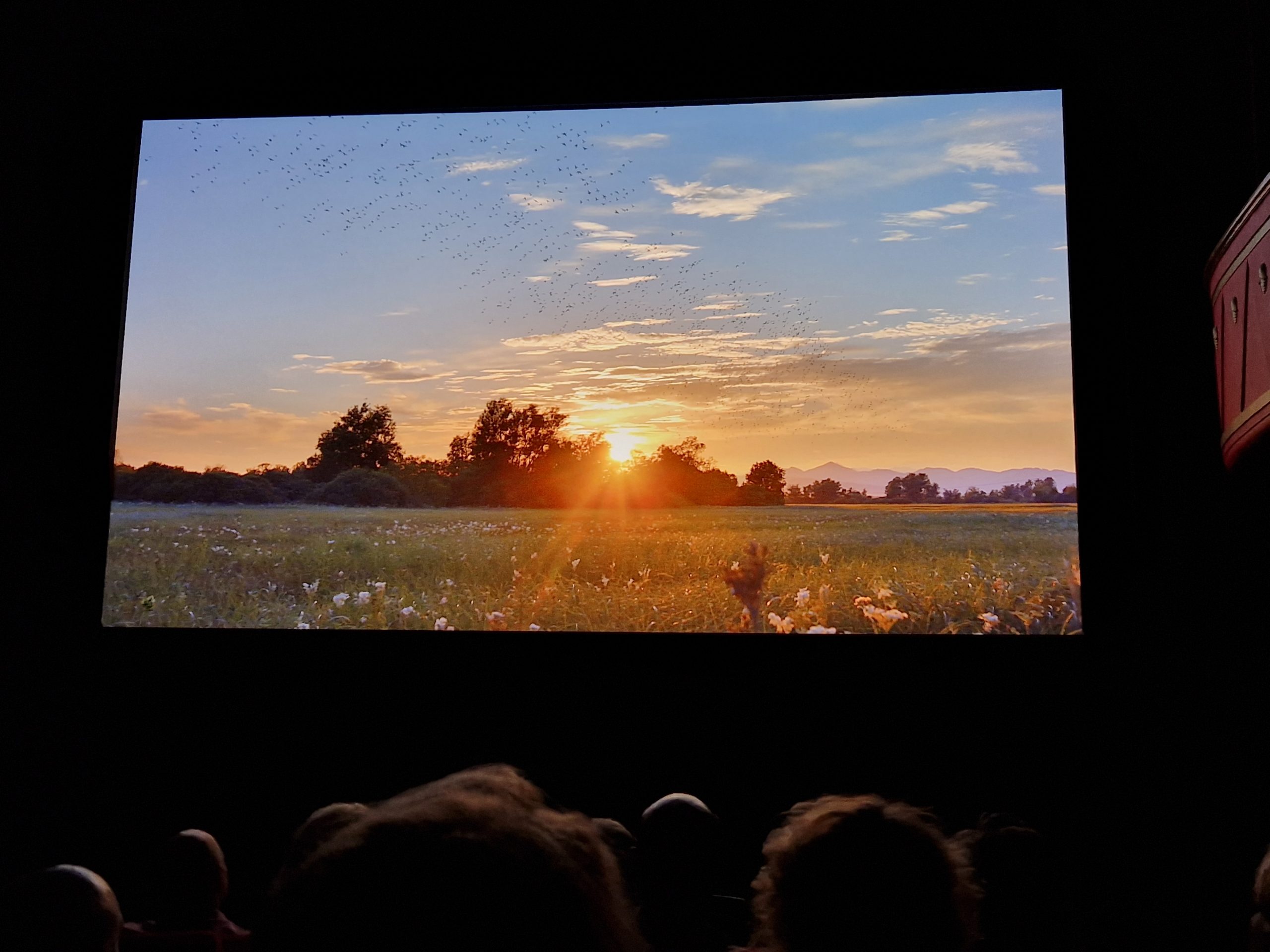 Film o Ljubljanskem barju na malih zaslonih