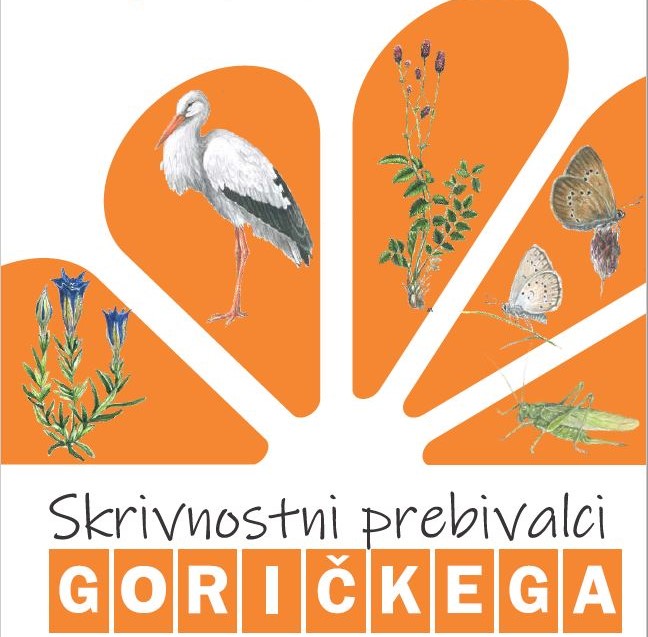 Slikopisi učencev z Goričkega