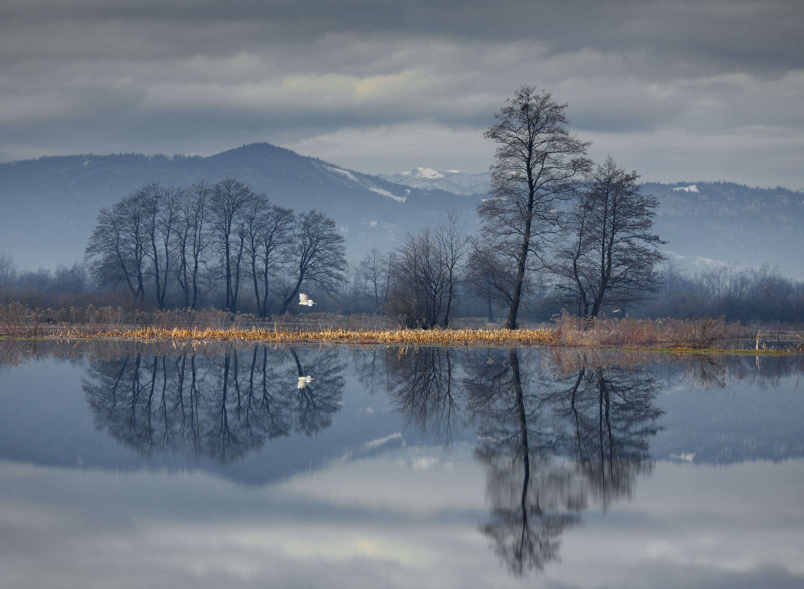 Mokrišča, ključni naravni zavezniki pri spoprijemanju s podnebnimi spremembami