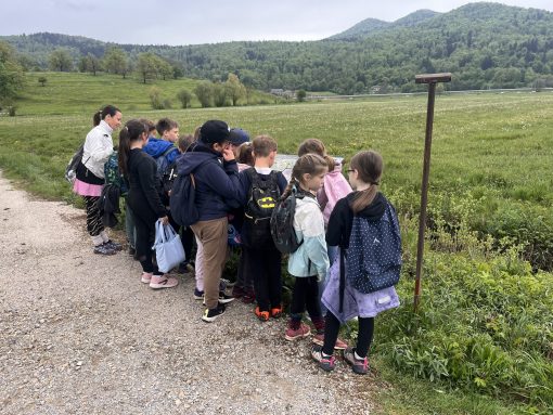 Naravoslovni dan. Foto Jasna Tarman
