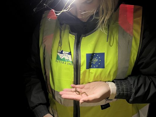 Foto: Jasna Tarman