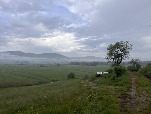 Pot na Mah. Foto Jasna Tarman