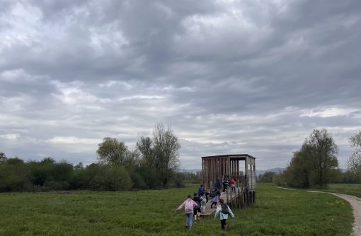 Pri opazovalnici ptic. Foto Jasna Tarman