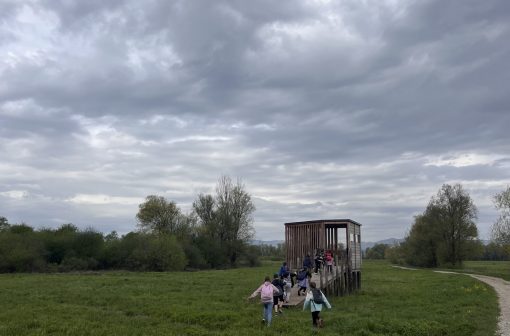 Pri opazovalnici ptic. Foto Jasna Tarman