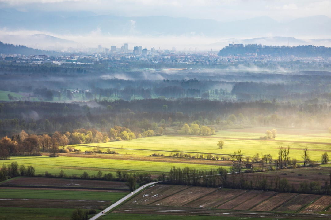 Trajnostna bioenergija v Sloveniji: priložnosti in izzivi skozi prizmo projekta DiversE