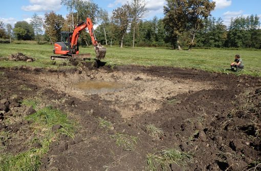 Mlake imajo večje območje plitvin. Foto Marinka Kržič