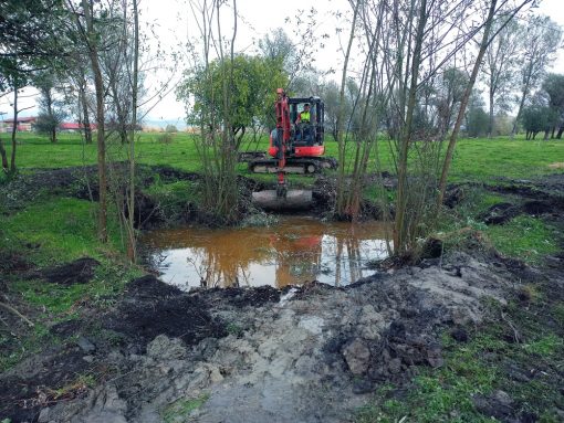 Obnova zaraščene mlake. Foto Tina Porenta