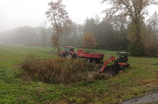 Odstranitev vegetacije pri mlaki na Rakovi jelši. Foto Nina Erbida