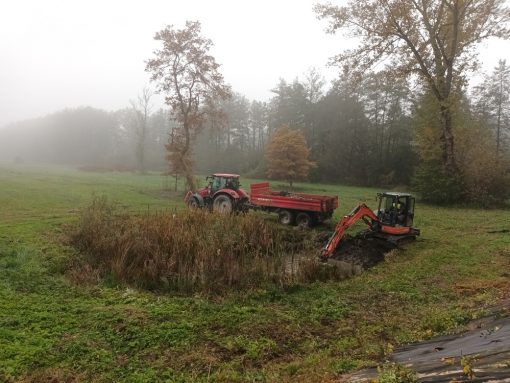 Odstranitev vegetacije pri mlaki na Rakovi jelši. Foto Nina Erbida