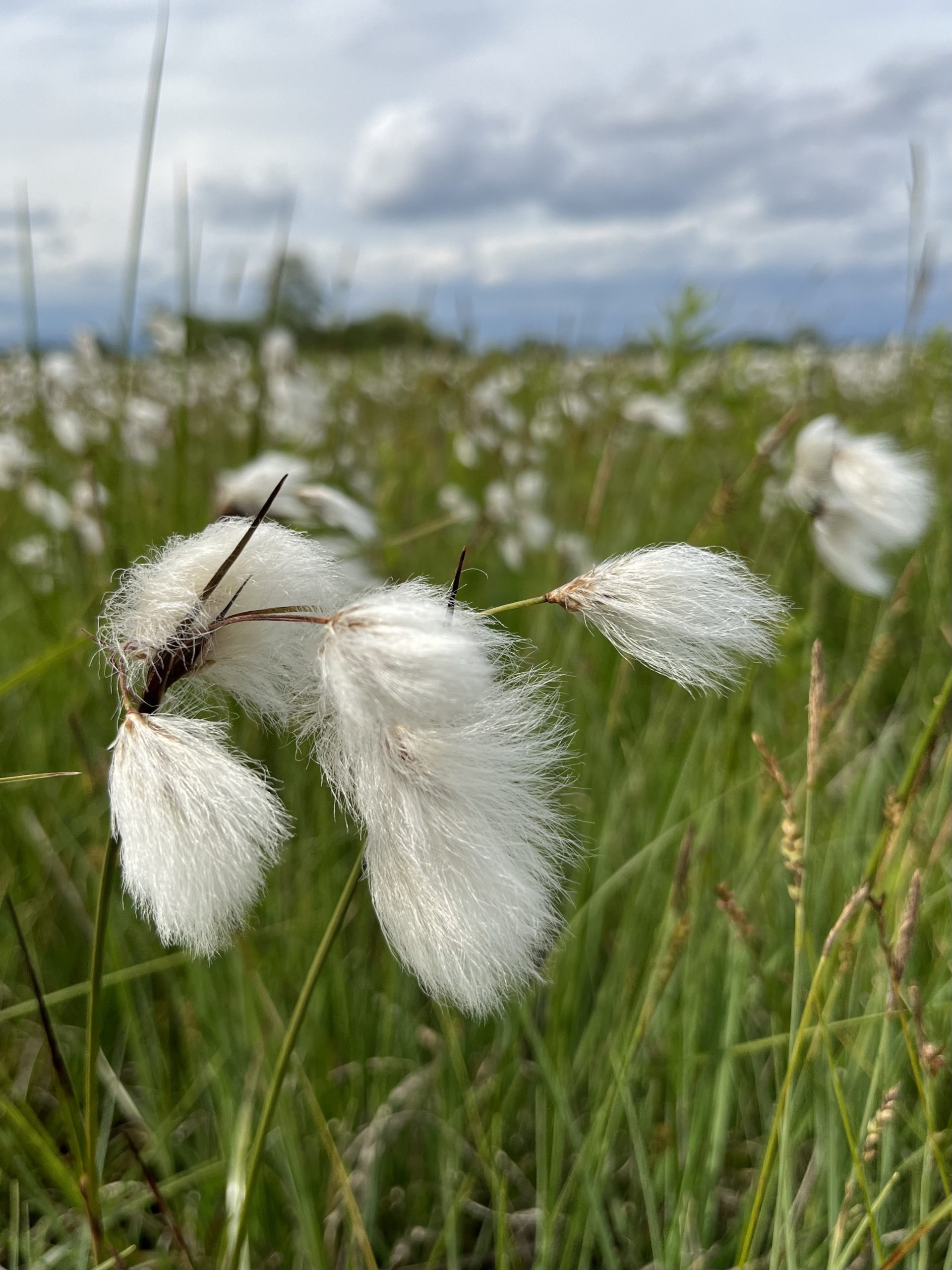 Začenjamo z izvajanjem projekta ŽIVOLJUB