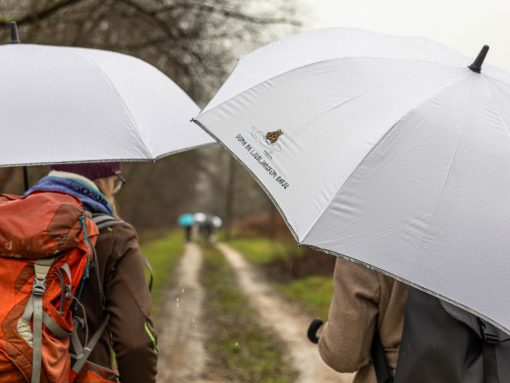 Doma na Ljubljanskem barju na Poti med jelšami. Foto Anna Kranz, Lea Gmbh