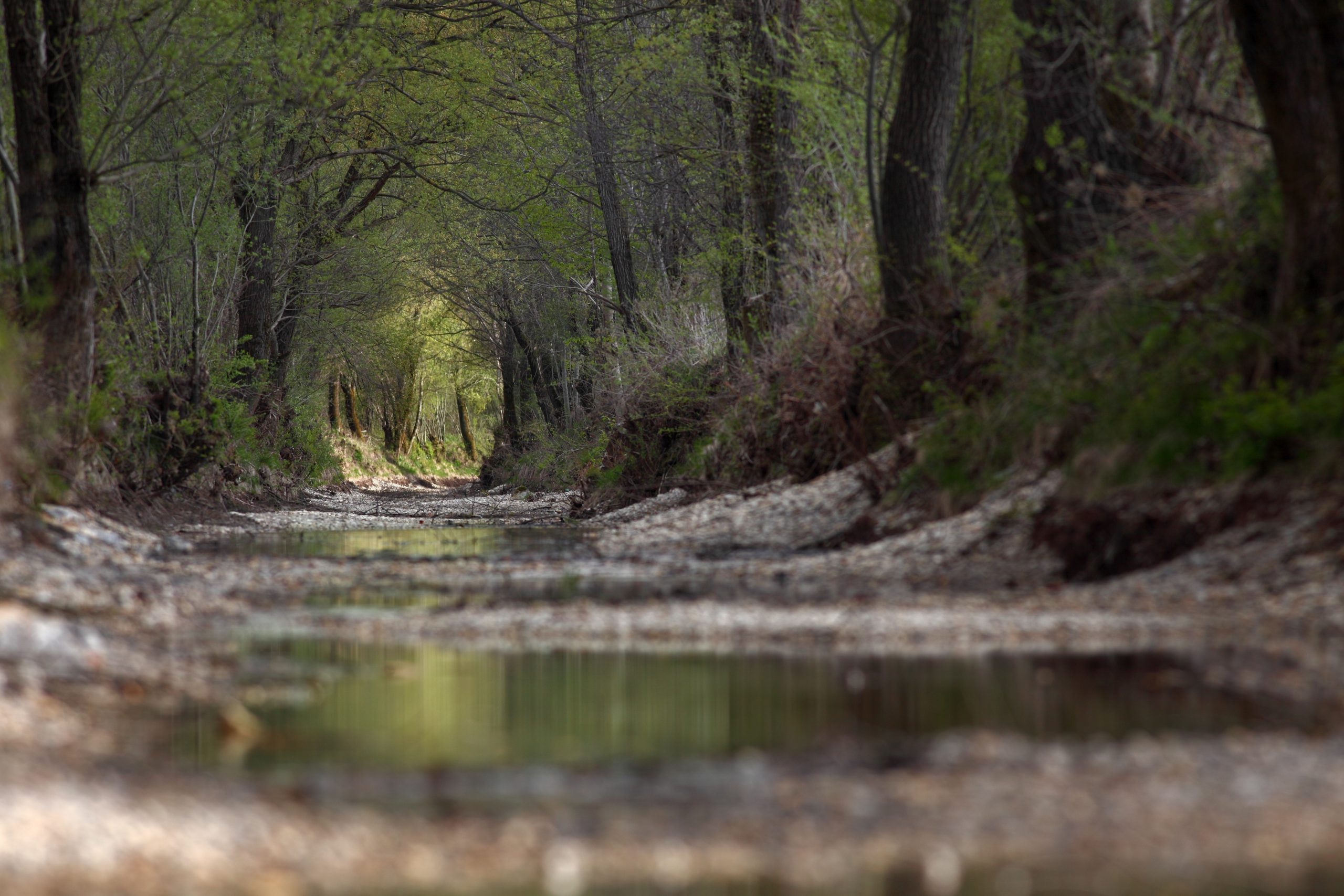 Poziv lastnikom priobalnih zemljišč ob vodotokih 2. reda