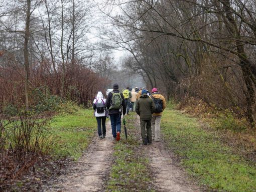 Pot med jelšami. Foto Anna Kranz, Lea Gmbh