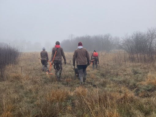 Obnova habitata okarčka. Foto Daria Erić