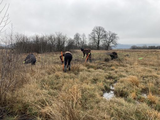 Ročna dela s pulilnikom. Foto Daria Erić