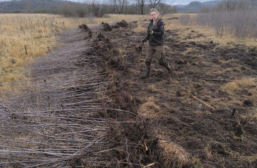 Zaključen izkop večjih krhlik. Foto Erik Jurman