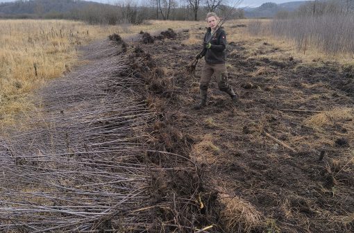 Zaključen izkop večjih krhlik. Foto Erik Jurman