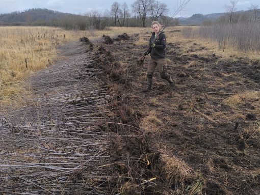 Zaključen izkop večjih krhlik. Foto Erik Jurman