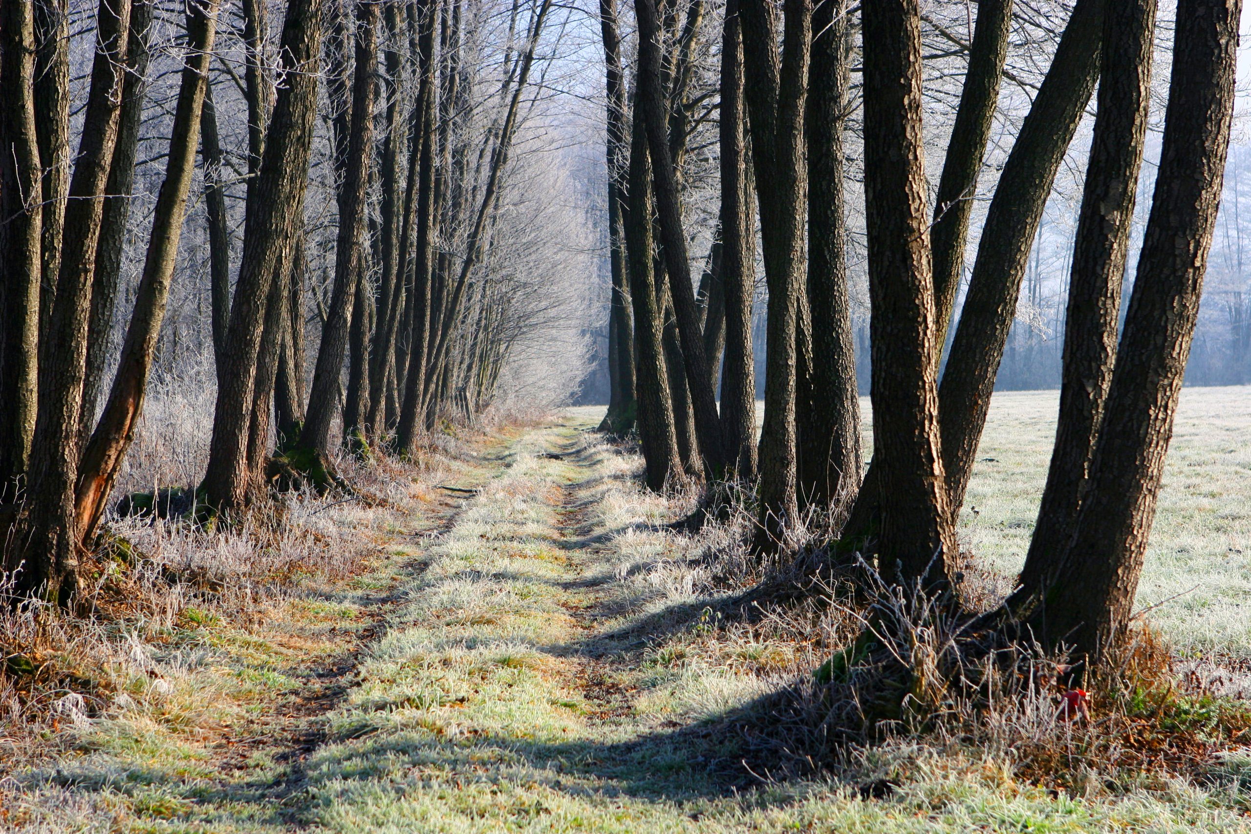 Skupaj za boljše upravljanje