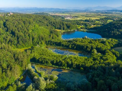 Naravni rezervat Ribniki v dolini Drage. Foto Matej Vranič