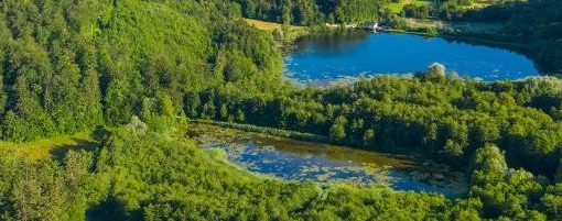 Naravni rezervat Ribniki v dolini Drage. Foto Matej Vranič