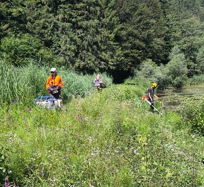 Košnja in mulčenje nasipa. Foto Erik Jurman
