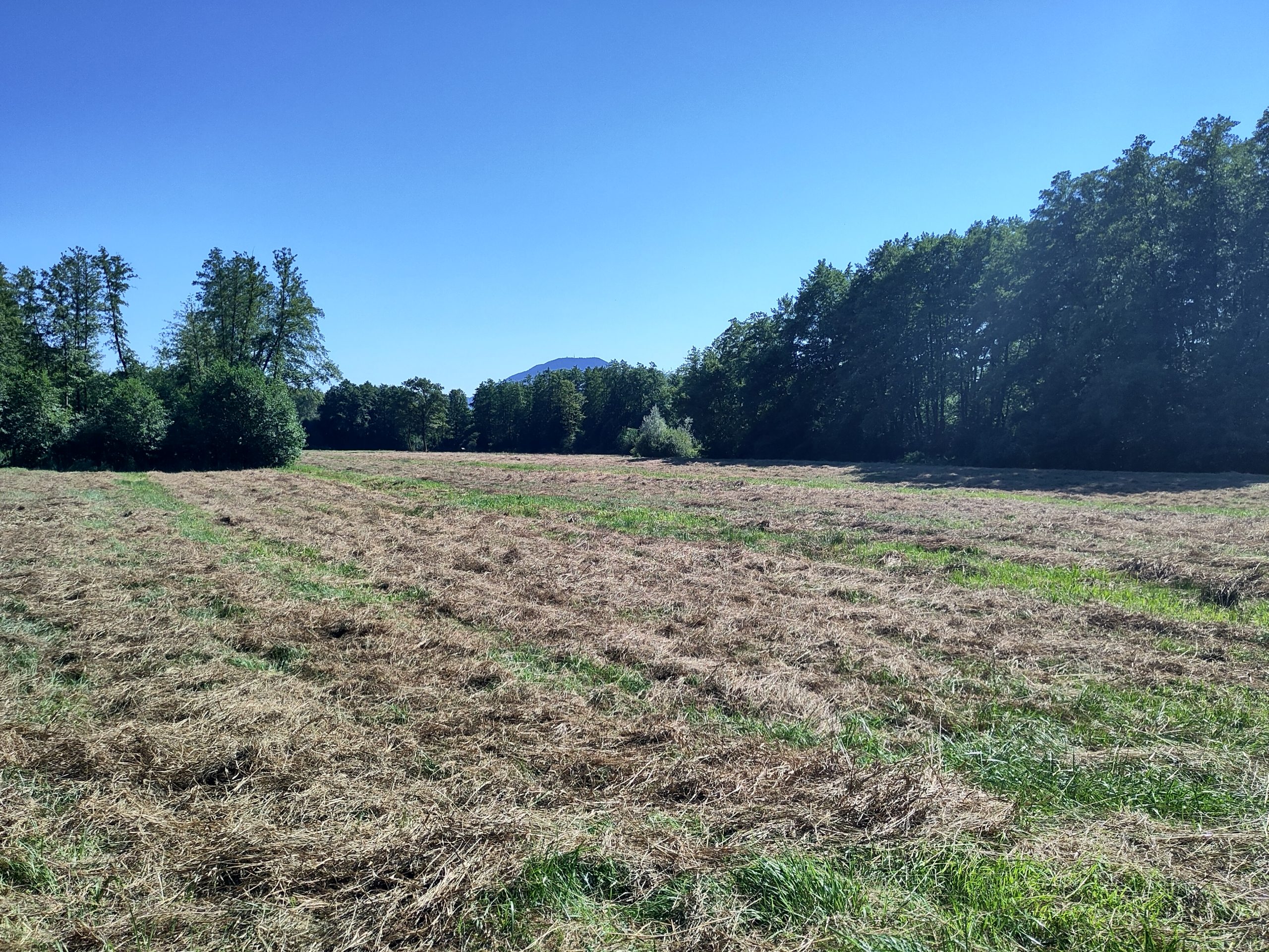 Iskanje trajnostnih možnosti za uporabo biomase, ki nastaja kot rezultat pozne košnje – 2. srečanje